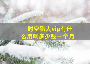 时空猎人vip有什么用啊多少钱一个月