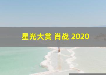 星光大赏 肖战 2020