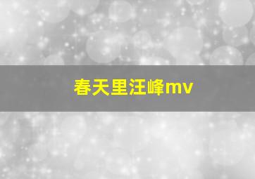 春天里汪峰mv