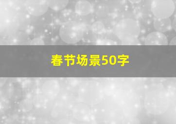 春节场景50字