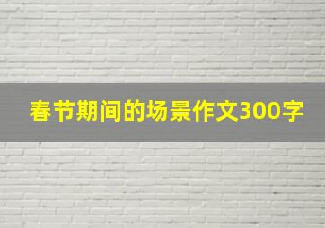 春节期间的场景作文300字