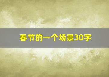 春节的一个场景30字