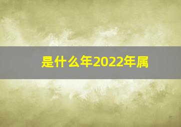 是什么年2022年属