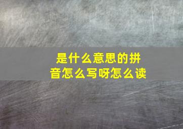 是什么意思的拼音怎么写呀怎么读