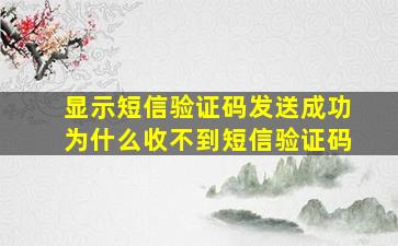 显示短信验证码发送成功为什么收不到短信验证码