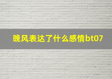 晚风表达了什么感情bt07