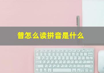 普怎么读拼音是什么