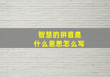 智慧的拼音是什么意思怎么写