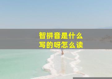 智拼音是什么写的呀怎么读