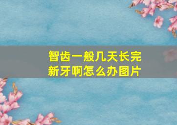 智齿一般几天长完新牙啊怎么办图片