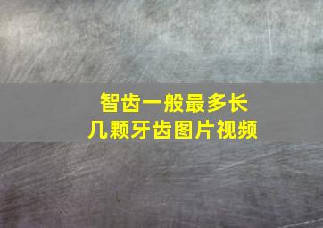 智齿一般最多长几颗牙齿图片视频