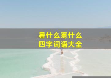 暑什么寒什么四字词语大全