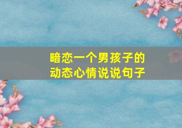 暗恋一个男孩子的动态心情说说句子