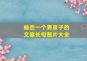 暗恋一个男孩子的文案长句图片大全