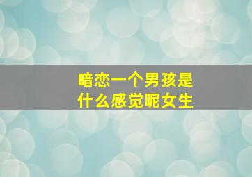 暗恋一个男孩是什么感觉呢女生