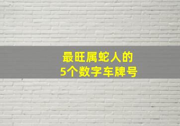 最旺属蛇人的5个数字车牌号