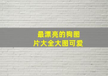 最漂亮的狗图片大全大图可爱