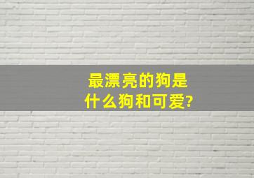 最漂亮的狗是什么狗和可爱?