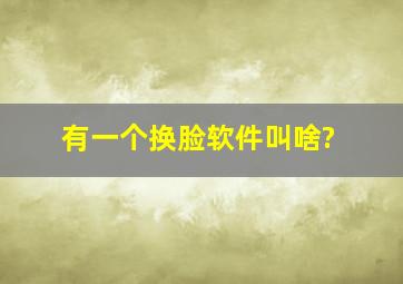 有一个换脸软件叫啥?