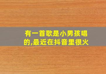 有一首歌是小男孩唱的,最近在抖音里很火