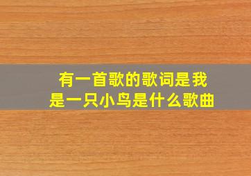 有一首歌的歌词是我是一只小鸟是什么歌曲