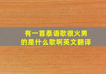 有一首泰语歌很火男的是什么歌啊英文翻译