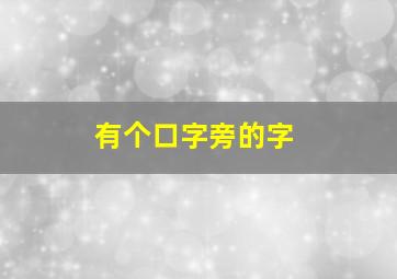 有个口字旁的字