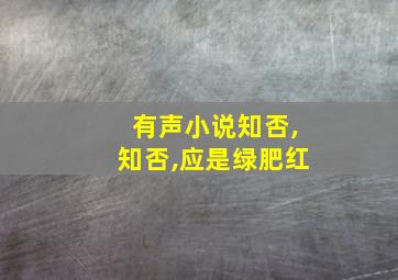 有声小说知否,知否,应是绿肥红