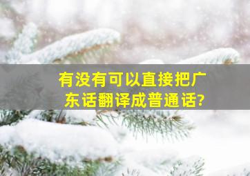 有没有可以直接把广东话翻译成普通话?