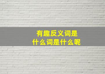 有趣反义词是什么词是什么呢