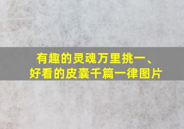 有趣的灵魂万里挑一、好看的皮囊千篇一律图片