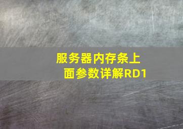 服务器内存条上面参数详解RD1