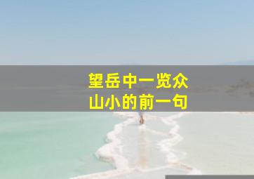 望岳中一览众山小的前一句