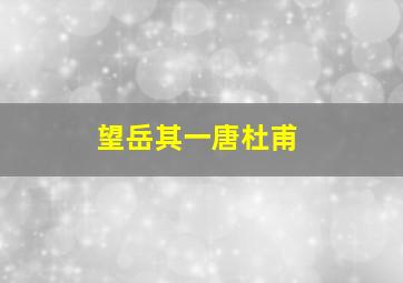 望岳其一唐杜甫