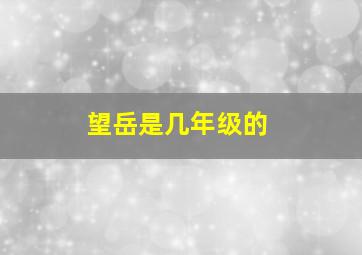 望岳是几年级的