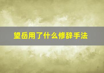 望岳用了什么修辞手法