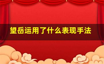 望岳运用了什么表现手法