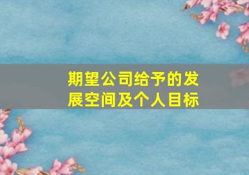 期望公司给予的发展空间及个人目标