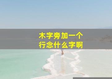 木字旁加一个行念什么字啊