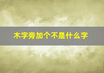 木字旁加个不是什么字