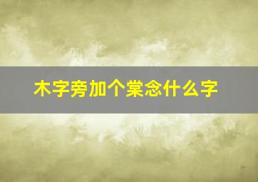 木字旁加个棠念什么字