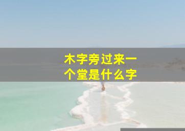 木字旁过来一个堂是什么字