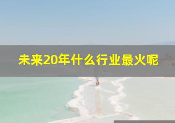 未来20年什么行业最火呢