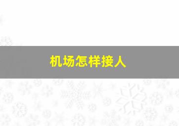 机场怎样接人