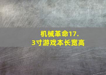 机械革命17.3寸游戏本长宽高