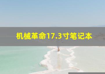 机械革命17.3寸笔记本