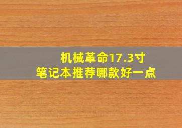 机械革命17.3寸笔记本推荐哪款好一点