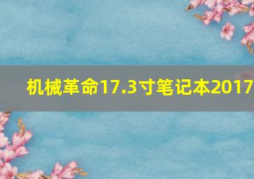 机械革命17.3寸笔记本2017