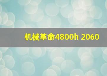 机械革命4800h 2060