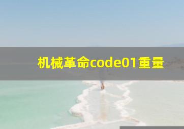 机械革命code01重量